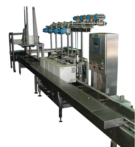 Conveyors/Special Requests for Pail/Jug/Can Filling Systems